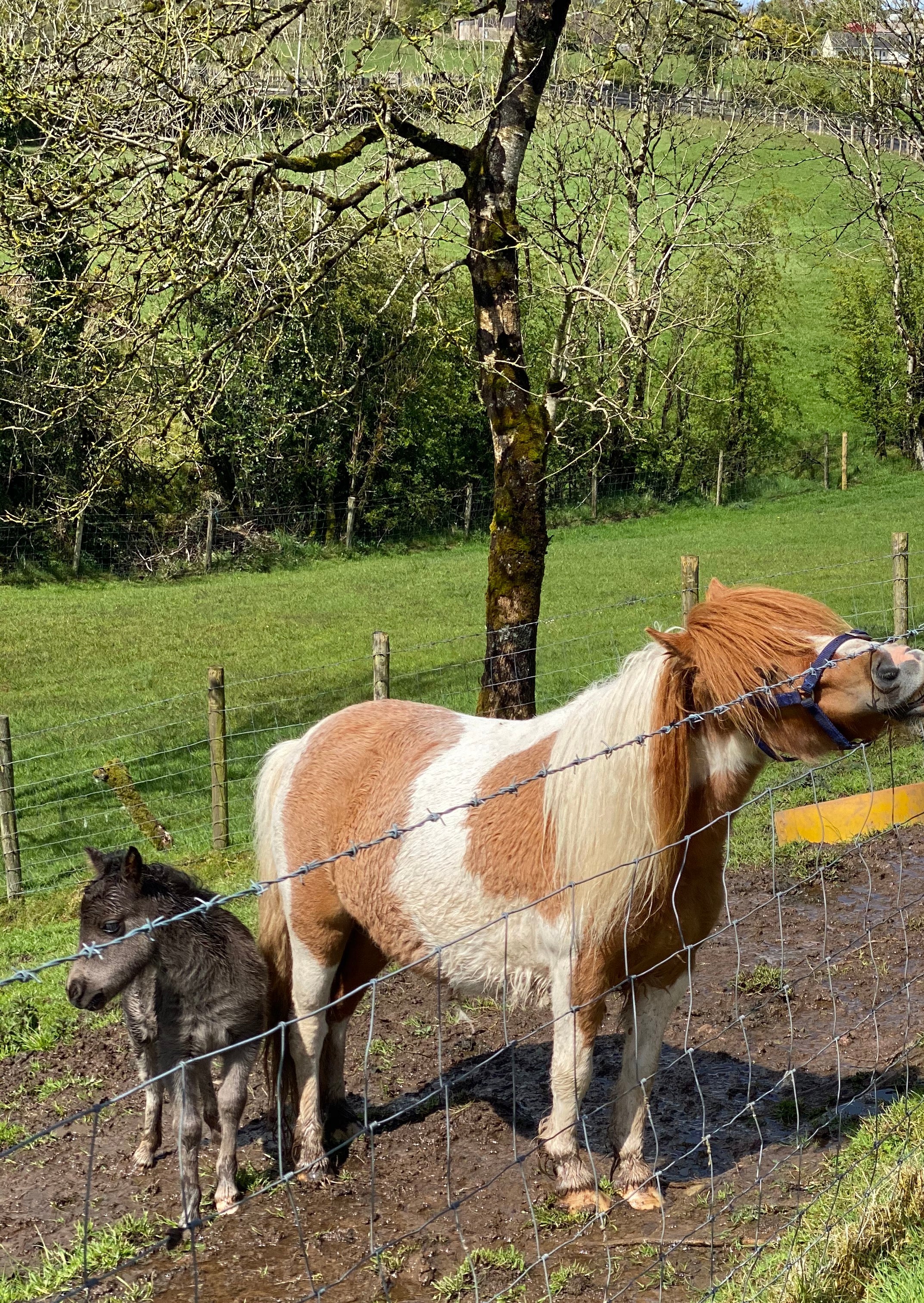 June Newsletter!