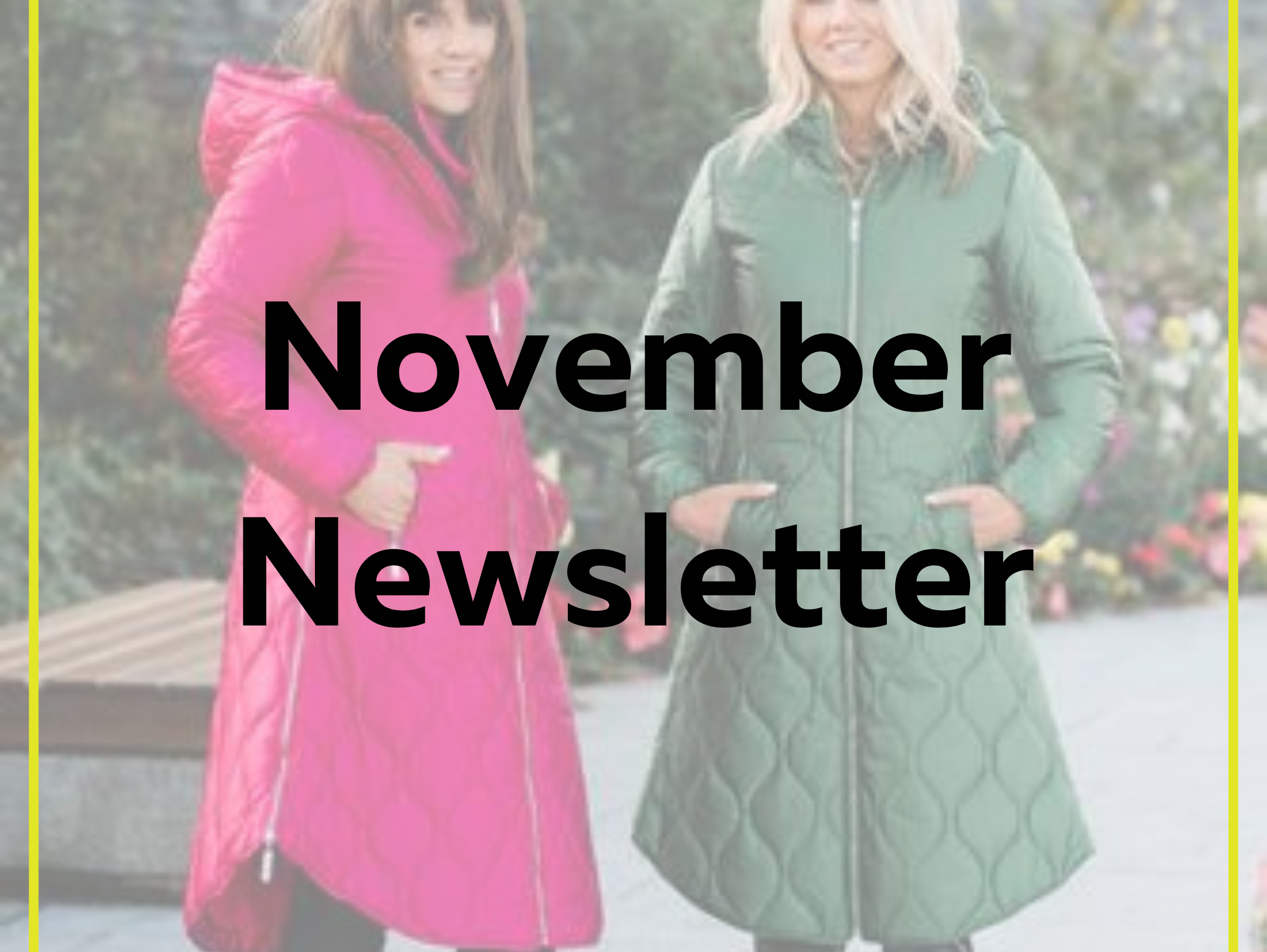November Newsletter