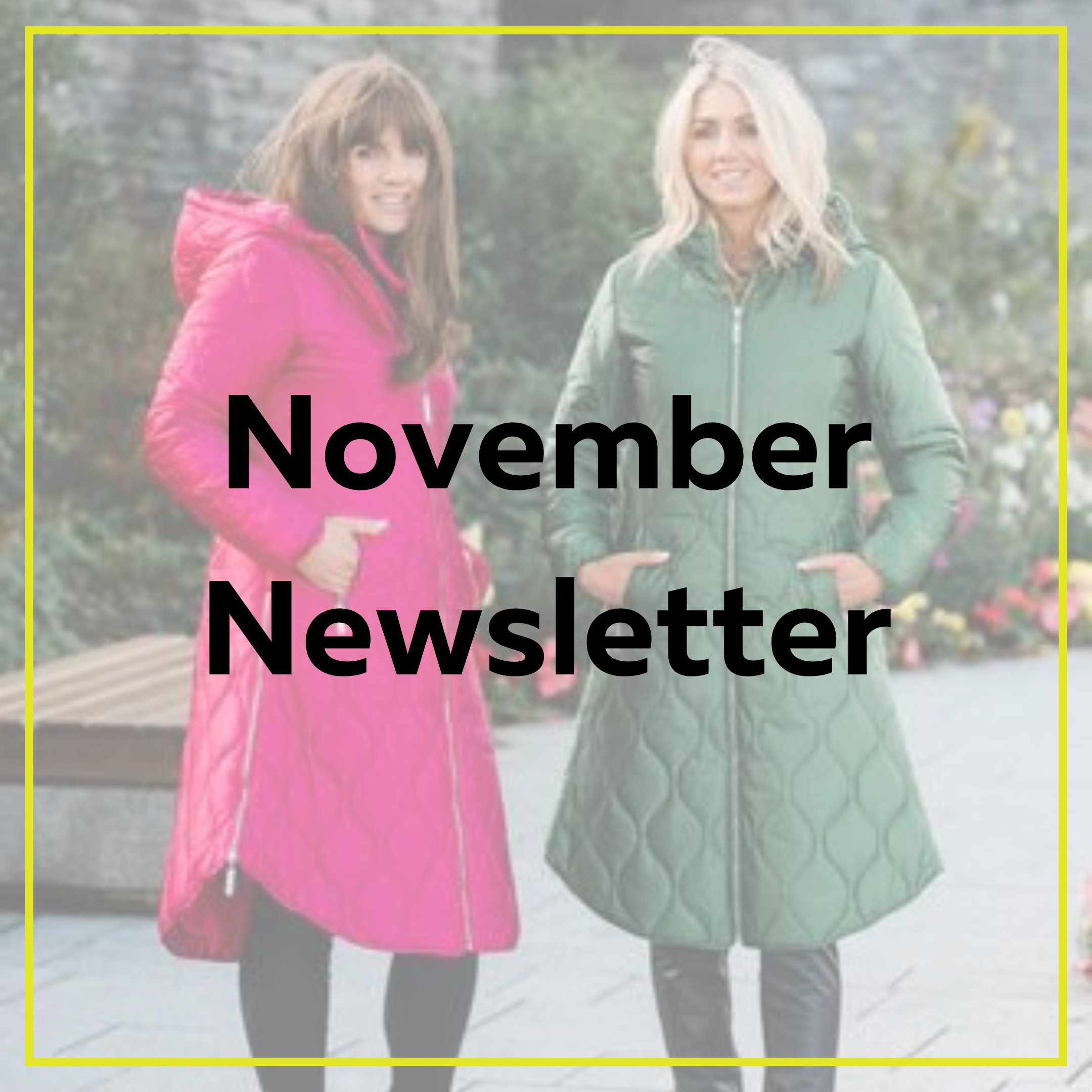 November Newsletter